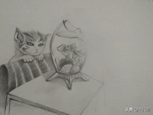 画猫 童话故事（中文童话画猫的男孩）