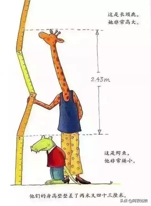 鳄鱼爱上长颈鹿（鳄鱼爱上长颈鹿读后感）