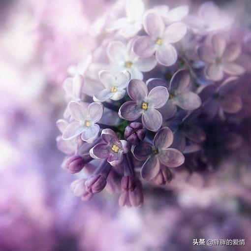 哲理小故事短篇100字（哲理小故事短篇50字）