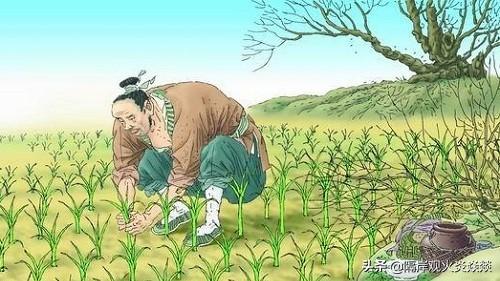 一个小故事一个道理（一个小故事一个道理一个感悟）