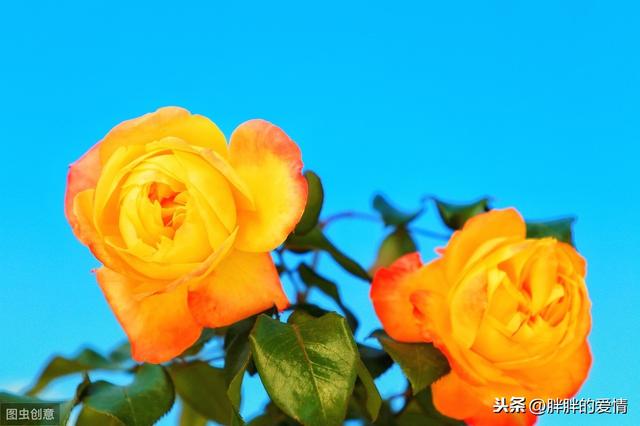感悟人生的经典句子（深夜感悟人生的经典句子）
