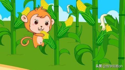 小猴子掰玉米的故事（小猴子掰玉米的故事原文）