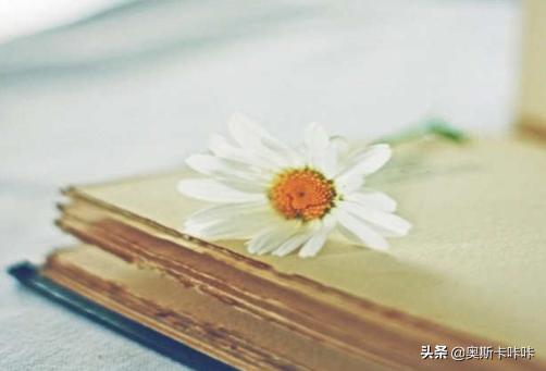 读书的好处优美句子（读书的好处优美句子一年级）