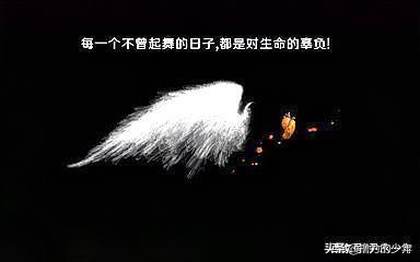 名人名言100条简短（名人名言100条简短励志短句）
