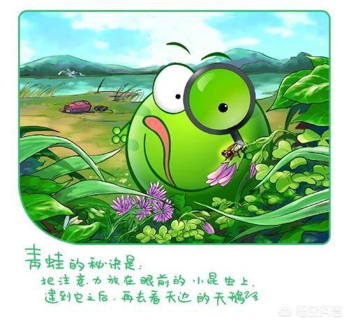 青蛙图片简笔画（青蛙图片简笔画可爱）