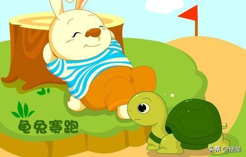 新编 龟兔赛跑 作文（新编龟兔赛跑作文500字两人都赢了）
