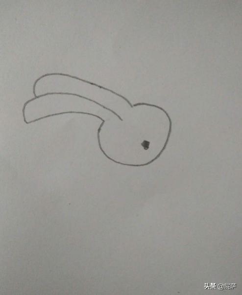 小兔子拔萝卜故事图片（小兔子拔萝卜故事图片简笔画）
