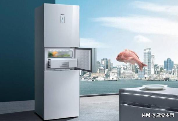 中国冰箱排名前十名_中国冰箱排名前十名有奥马吗
