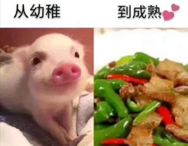 作者浮沉的小说哪部最好